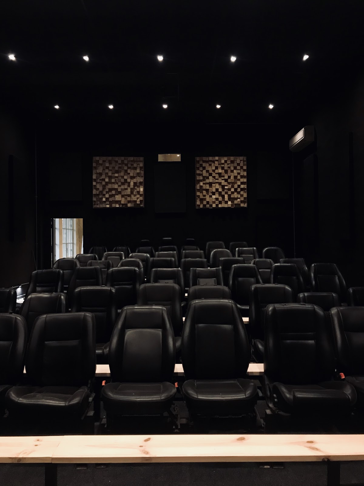 The Bioscope
