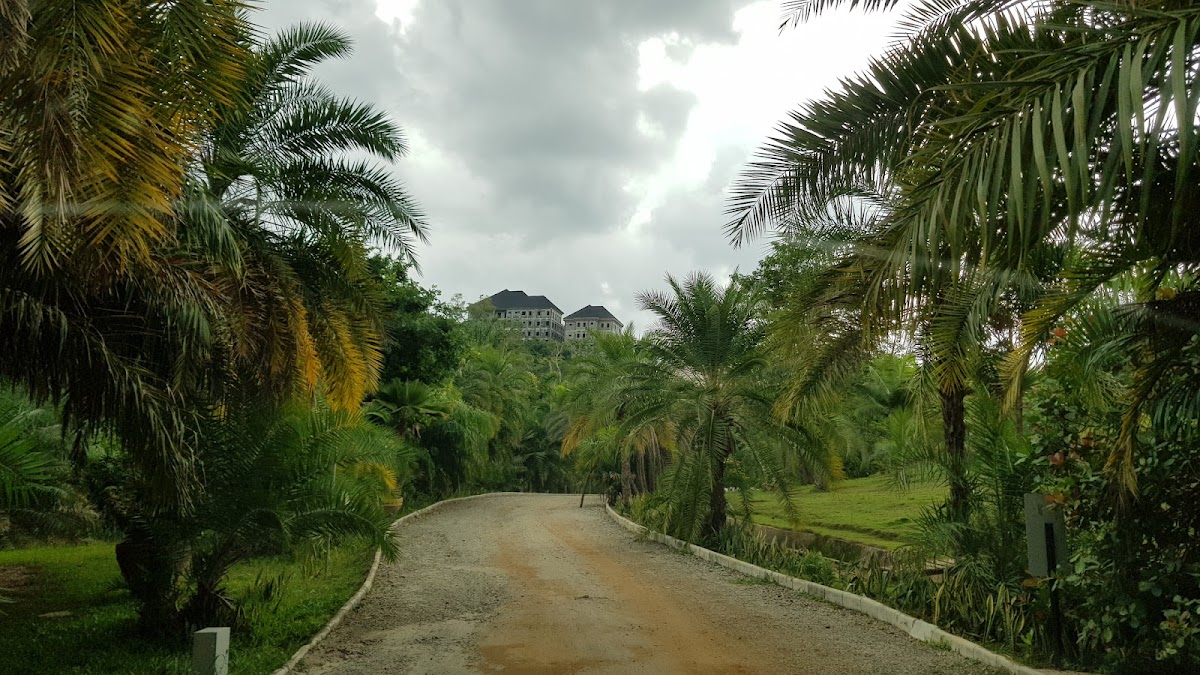 Sarius Palmetum (botanical garden)