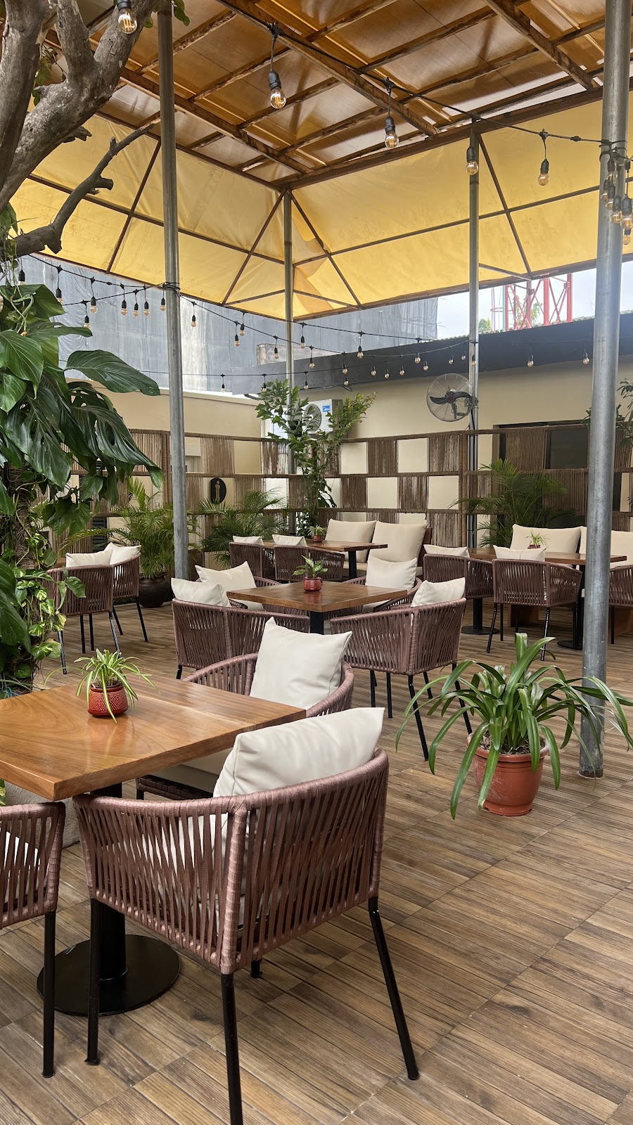 Nest Cafe