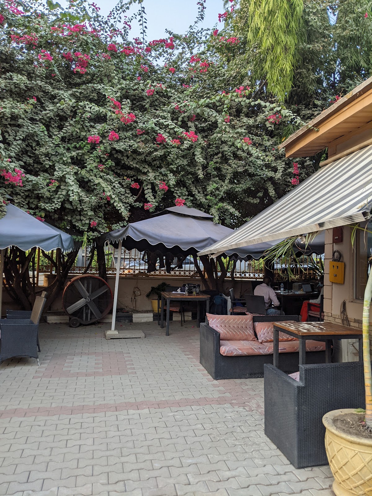 Salamander Café